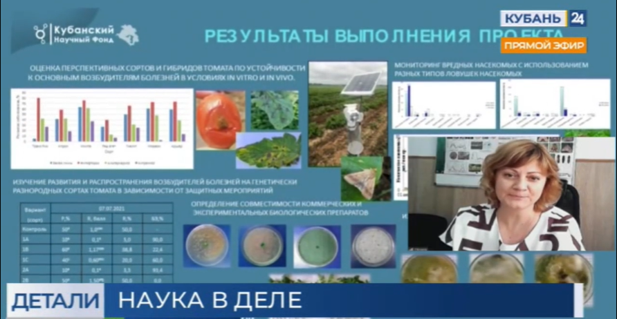 На поддержку научных проектов в крае выделили 50 миллионов рублей