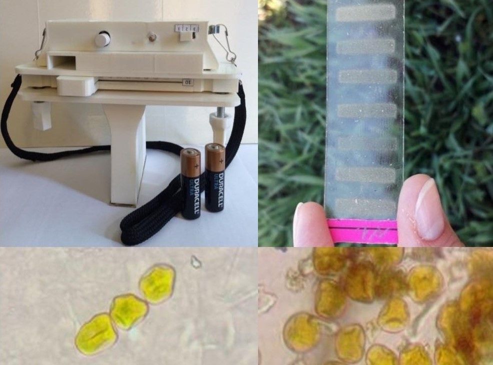 Spore-Trapping Device: An Efficient Tool to Manage Fungal Diseases in Winter Wheat Crops