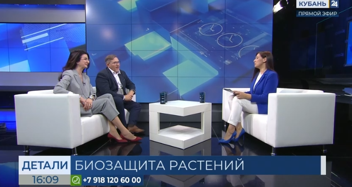 Интерьвью Анжелы Асатуровой на телеканале "Кубань 24"