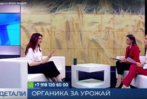 Директор ФГБНУ ФНЦБЗР Асатурова Анжела Михайловна выступила в прямом эфире программы “Детали” на телеканале Кубань 24.