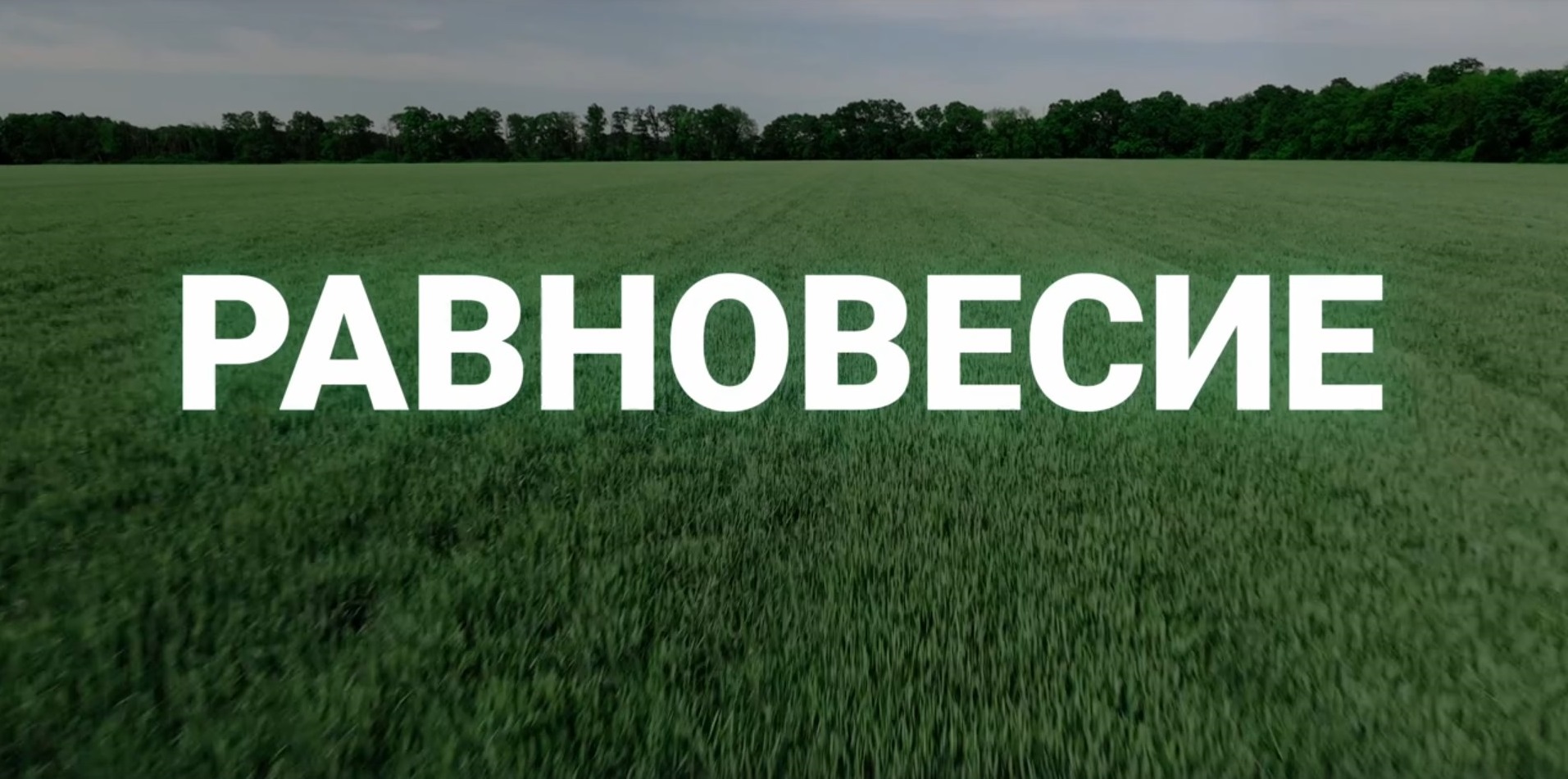 Фильм «Равновесие» с участием молодых учёных ФНЦБЗР покажут на Черноморской винной неделе