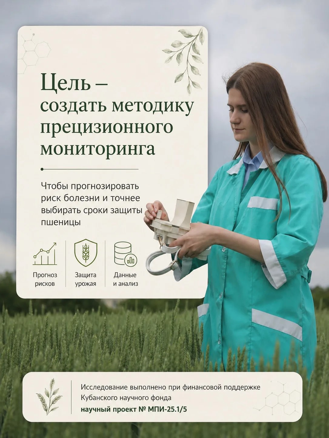 Погода, споры и пшеница: как формируется прогноз листовых болезней 
