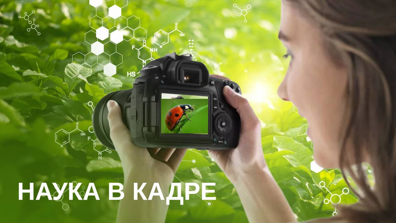 ФОТОКОНКУРС «НАУКА В КАДРЕ»